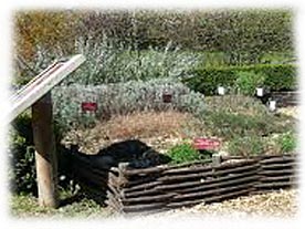 Jardin botanique<br />
de Saint-Jean-de-Luz