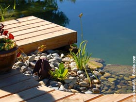 Prparez l't
autour de la piscine