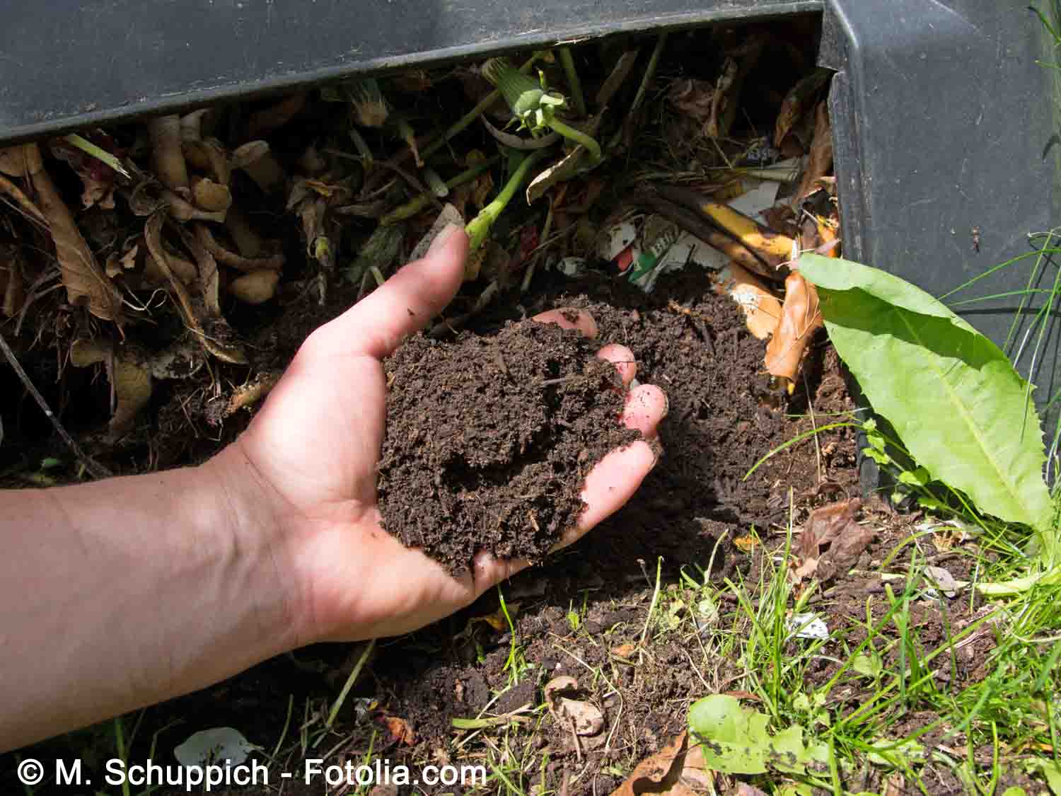 Comment utiliser le compost ?