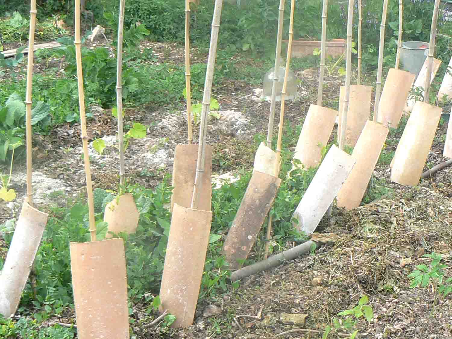 Des tuiles  la rescousse du jardinier
