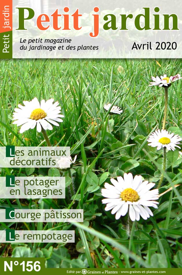 Info jardinage du mois d'Avril 2020 Magazine-jardinage-petit-jardin-avril-2020