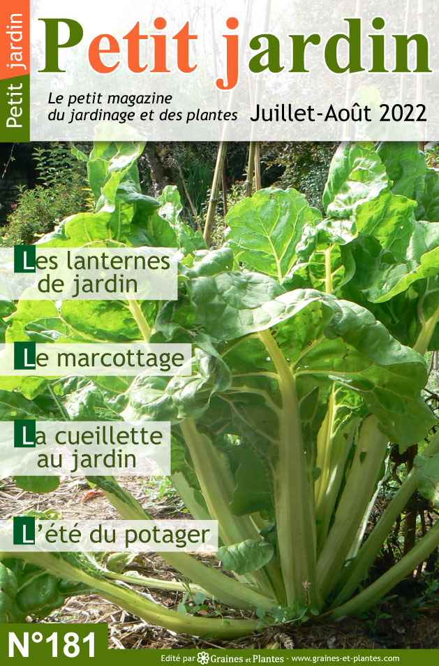 Info jardinage du mois d'Août 2022 Magazine-jardinage-petit-jardin-juillet-2022