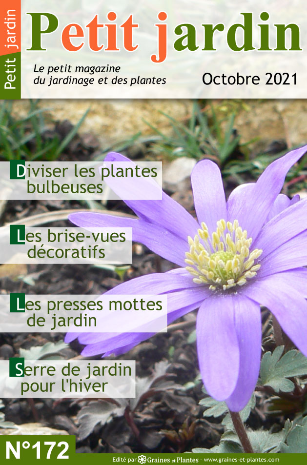 Info jardinage du mois d'octobre 2021 Magazine-jardinage-petit-jardin-octobre-2021