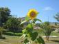 Photo de Loule04