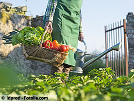 Eviter les maladies et parasites au jardin